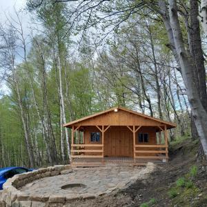 una cabaña de madera en medio de un bosque en Domki Na Winnicy - Winnica Talaska 