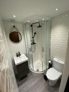 un bagno con doccia, WC e lavandino di La petite maison du Thabor a Rennes