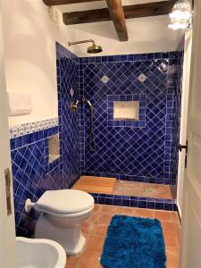 y baño de azulejos azules con aseo y ducha. en La Casa sul Porto di Santa Marina - Isole Eolie, en Santa Marina Salina
