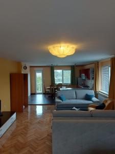 - un salon avec un canapé et une salle à manger dans l'établissement Apartman Kovač-Bilje, à Bilje