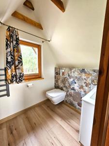 łazienka z toaletą i oknem w obiekcie Domek pod Świerkami w Jeleniej Górze