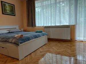 a bedroom with a bed and a large window at Apartman Kovač-Bilje in Bilje