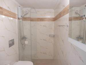 a bathroom with a shower and a toilet at Flamingo in Hanioti +35 photos