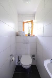 La salle de bains blanche est pourvue de toilettes et d'un lavabo. dans l'établissement Ferienwohnung Falltannach, à Sonthofen