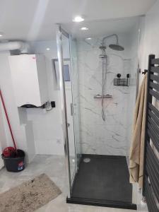 y baño con ducha y puerta de cristal. en Apartament NIKOLA en Wadowice