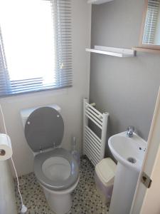 a small bathroom with a toilet and a sink at Kingfisher : Seabreeze:- 6 Berth, Enclosed veranda, Close to site shop in Ingoldmells