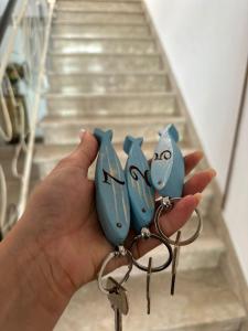 Fotografie z fotogalerie ubytování Hotel Sylva v destinaci Cattolica