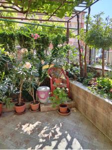 a garden with a bunch of plants in pots at Apart Hotel Hetodon in Sozopol +37 photos