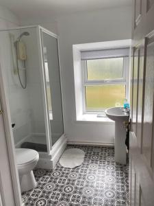 uma casa de banho com um chuveiro, um WC e um lavatório. em Antur Cottage em Blaenau-Ffestiniog
