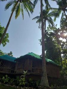 a house with a green roof and two palm trees at Elvira's Homestay in Looc