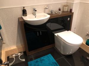a bathroom with a sink and a toilet at West Winds, Fore Street, Polruan by Fowey in Polruan