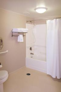 La salle de bains est pourvue d'un rideau de douche et de toilettes. dans l'établissement SpringHill Suites by Marriott Billings, à Billings