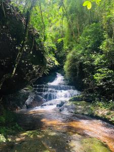 ペトロポリスにあるQuinta da Torre 7 suítes Cachoeira SPA aquecidoの森の中の小川