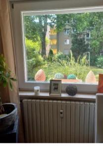 美茵河畔法蘭克福的住宿－Privates Zimmer，窗户,在房间散热器上画着画