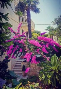 a bunch of pink flowers in front of a house at WHITE HOUSE Supetar-Brač in Supetar