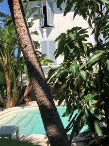 Blick auf einen Pool zwischen zwei Palmen in der Unterkunft VILLA BEAUSEJOUR in Cannes