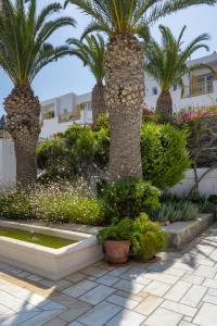 Um jardim em Dorion Hotel