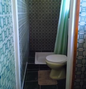 a bathroom with a toilet and a green shower curtain at Sandrea I Apartment in Subotica +11 photos