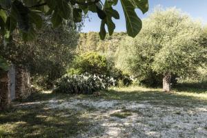 Zahrada ubytování CASA MANORGAI UNO