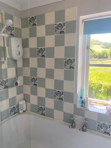 uma casa de banho com um chuveiro e uma parede de xadrez. em Goodwood Rooms em Charlton