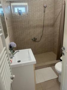 a bathroom with a shower and a sink and a toilet at Casa de vacanța in Brăila