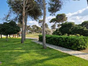 Giardino di Oasis Park Hotel