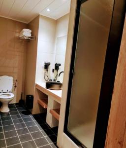 ein Bad mit einem Waschbecken und einem WC in der Unterkunft Hotel L'ermitage in Houffalize