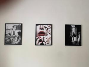 Fotografie z fotogalerie ubytování Černá Růže - Apartmán 7 v Plzni