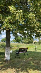 a park bench sitting next to a tree at Pełnikowe Zacisze in Bobolice +40 photos