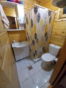 ein Badezimmer mit Toilette und Waschbecken in der Unterkunft LAKE VIEW PREVLAKA in Cetinje