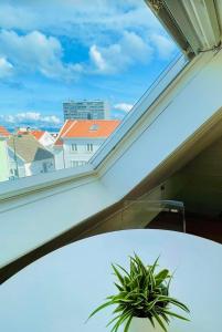 a window in a room with a plant in it at Central Stavanger Guesthouse in Stavanger +14 photos