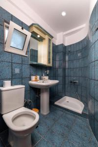 uma casa de banho com um WC e um lavatório em Porto Lygia Apartment em Lerápetra