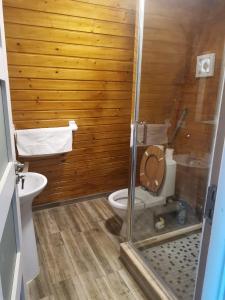a bathroom with a shower with a toilet and a sink at Cabana Ema in Curtea de Argeş