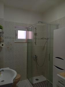 a bathroom with a shower and a toilet and a sink at Apartment Plitvice in Starigrad-Paklenica