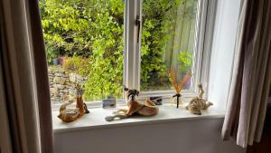 Foto sihtkohas Withypool asuva majutusasutuse Exmoor retreat on Two Moors Way galeriist