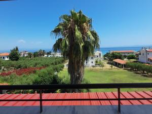 a view of a palm tree from a balcony at Villa Aroma in Polychrono