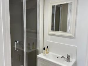a bathroom with a shower and a sink and a mirror at The Greig 1A in Wadhurst