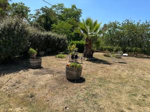 Afbeelding uit fotogalerij van Gouillette in Saint-Pey-de-Castets