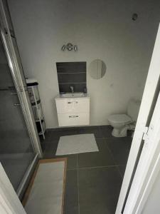 La salle de bains est pourvue de toilettes et d'un lavabo. dans l'établissement Studio meuble Kenaya 29m2., à Saint-Étienne-du-Rouvray