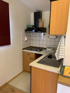 Kuchyň nebo kuchyňský kout v ubytování Villa Manja