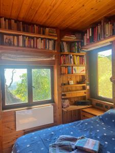 Perpustakaan di chalet