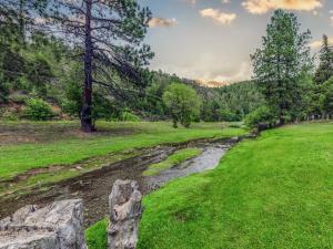 Naturlandskabet i nærheden af lejligheden
