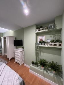 阿爾巴塞特的住宿－Green Suite，卧室,墙上挂着盆栽植物,配有床