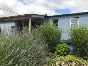 Gallery image of Kisvakond Vendégház in Jenő