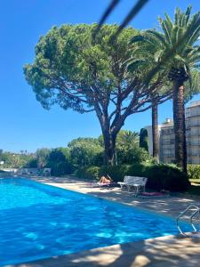 une piscine avec des palmiers en arrière-plan dans l'établissement Studio à Golfe Juan, terrace, piscine, près plages, à Vallauris