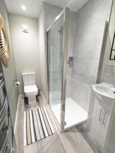 a bathroom with a shower and a toilet and a sink at Gosling Lodge in Durham