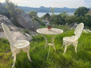 2 Stühle und ein Tisch mit einer Topfpflanze drauf in der Unterkunft Boljesestre Lake retreat in Golubovci