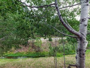 En have udenfor Hunters Lodge