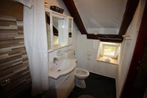 a small bathroom with a sink and a toilet at Kuća za odmor Krasnica in Novi Vinodolski +17 photos