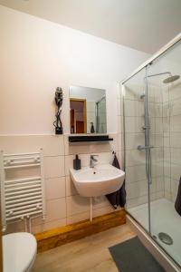 a bathroom with a sink and a shower at Apartament - Nocna Sowa in Głuszyca